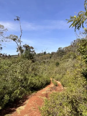 Blog: Keniaanse hoogtestage